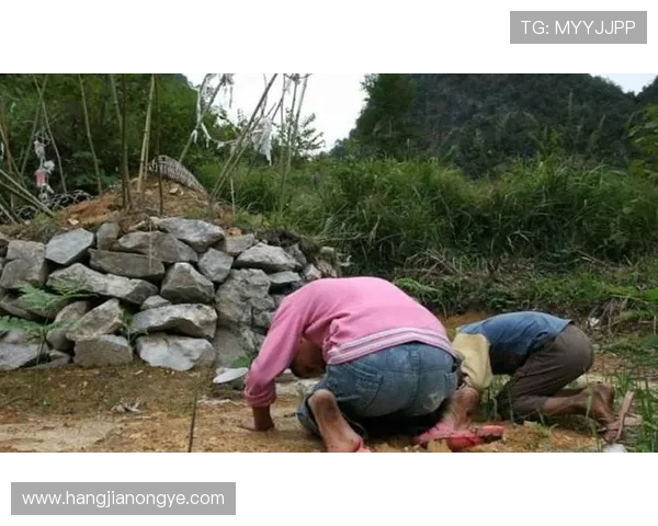 凯发网站安卓版本下载安装教程，解决用户在下载过程中的常见问题