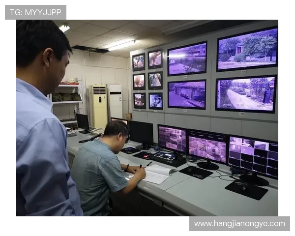 用户必看：下载凯发集团软件的安全步骤及常见问题解答