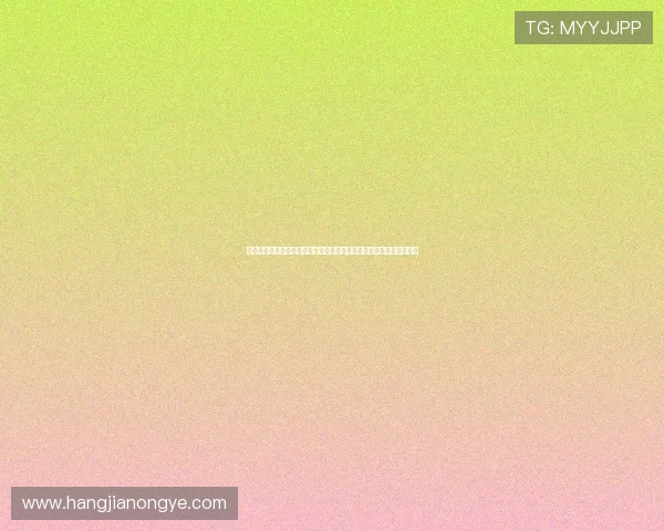 凯发网页版：世界杯期间凯发网页版为您带来最新赛况分析与专家点评